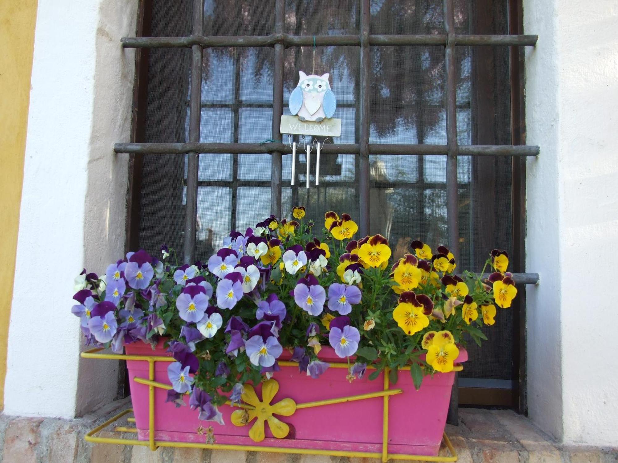 B&B Casacasina Monzambano Exterior photo
