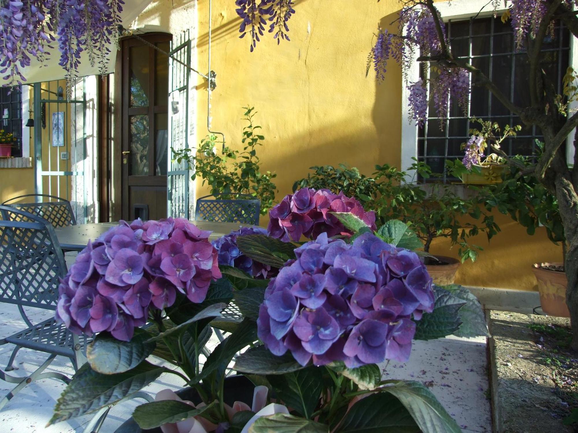 B&B Casacasina Monzambano Exterior photo