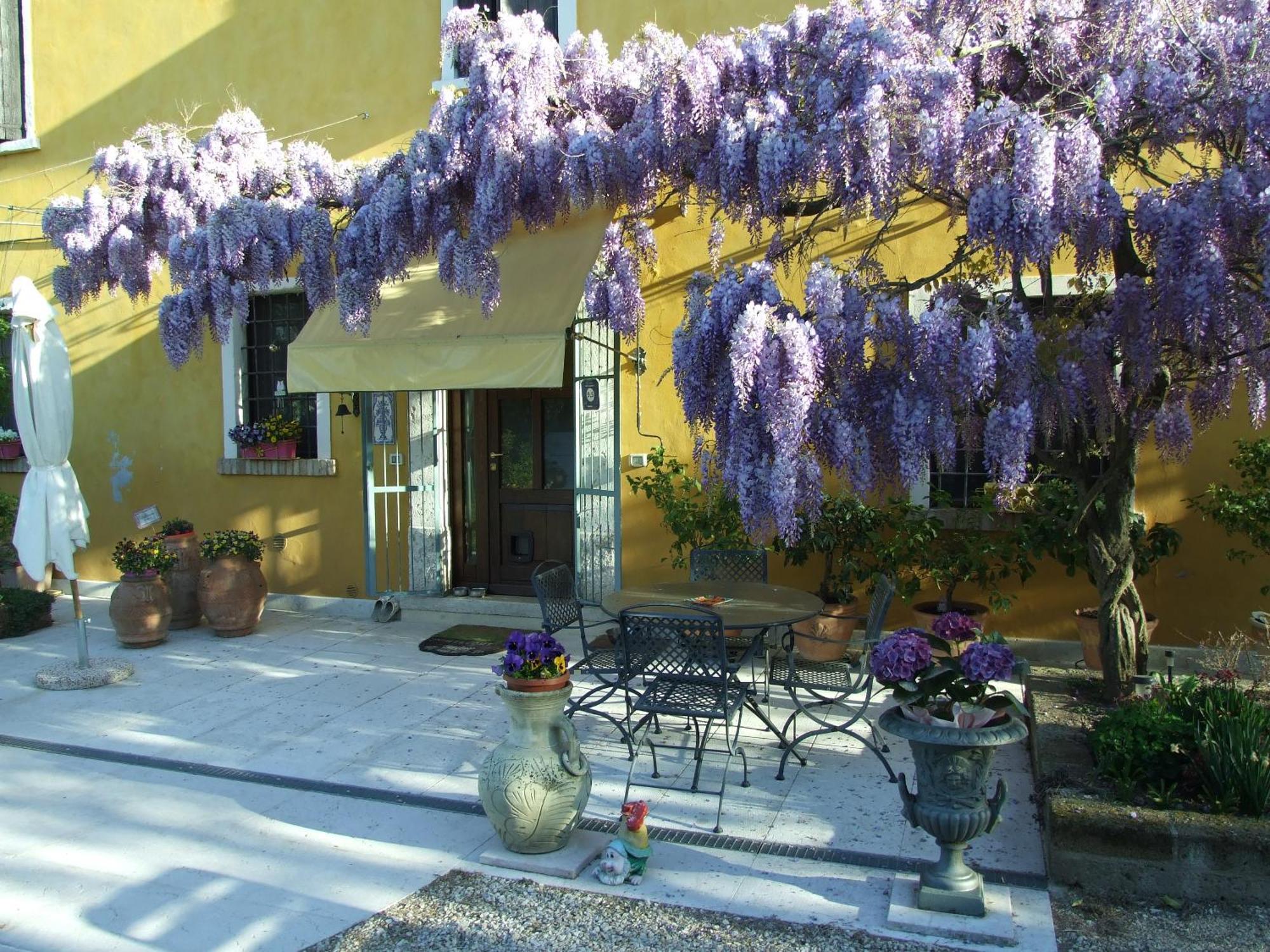 B&B Casacasina Monzambano Exterior photo
