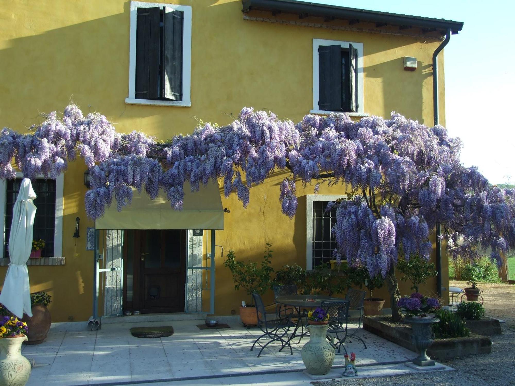 B&B Casacasina Monzambano Exterior photo